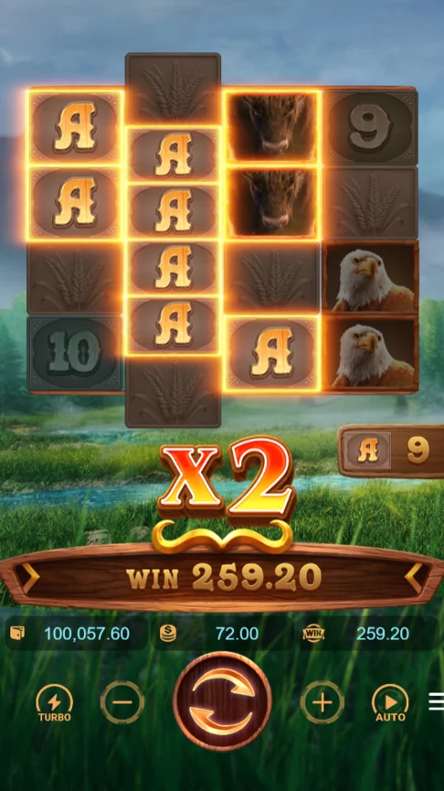 Buffalo Win nine aces 259.20 win