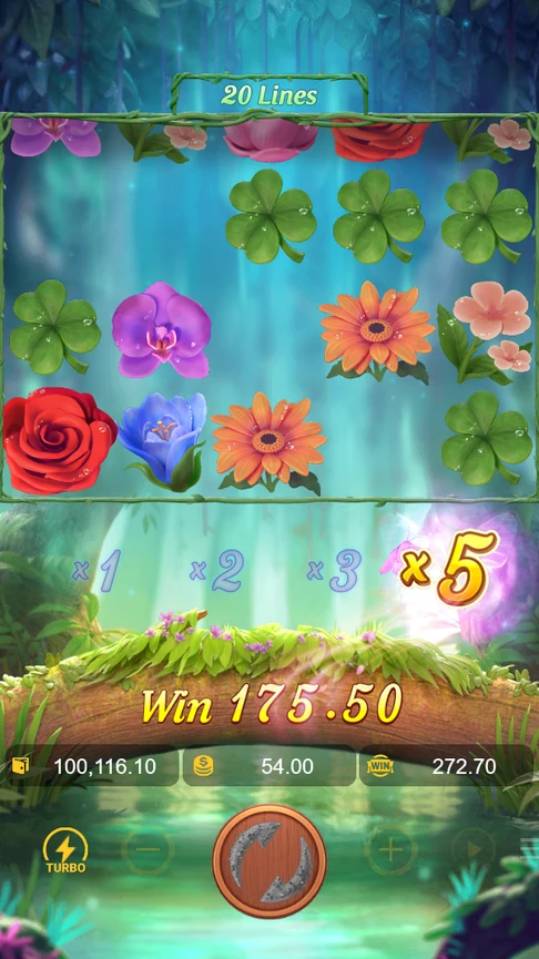 Butterfly Blossom x5 round 175.50