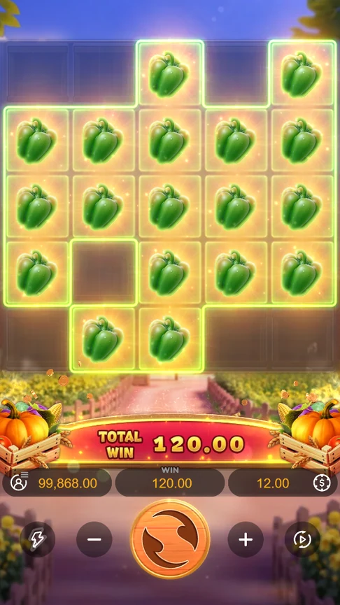 Farmstead Fortune pepper cluster 120.00