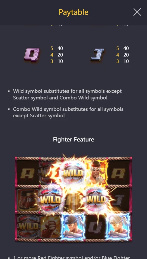 Muay Thai Champion Fighter Feature wilds
