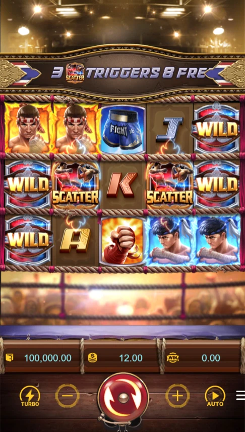 Muay Thai Champion demo fighters and wilds