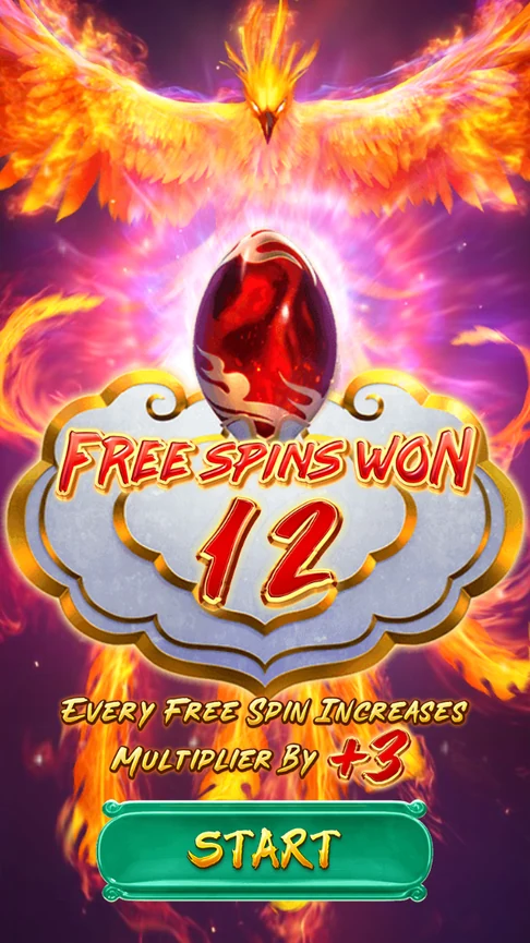 Twelve free spins with +3 multiplier