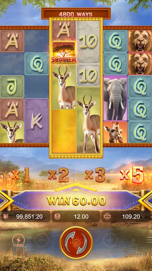 Safari Wilds x5 round paying 60.00