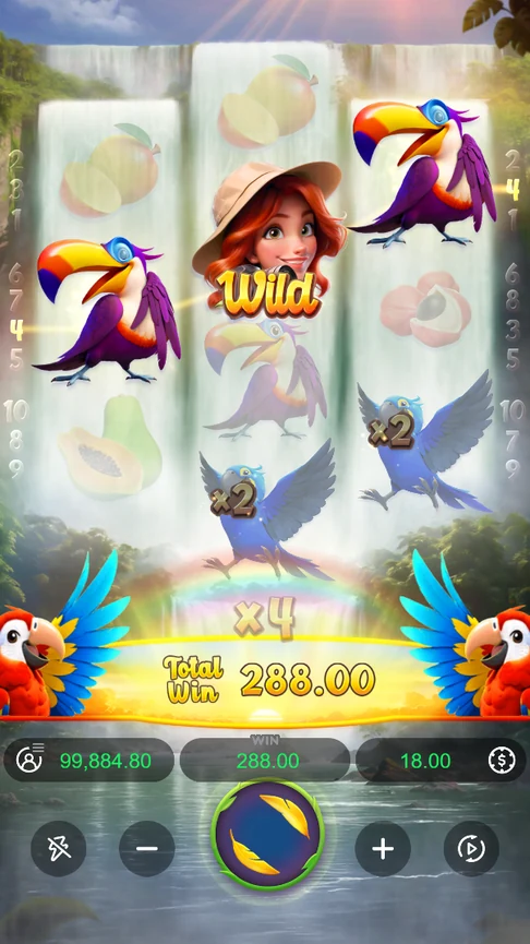 Wings of Iguazu two macaws x4 toucan