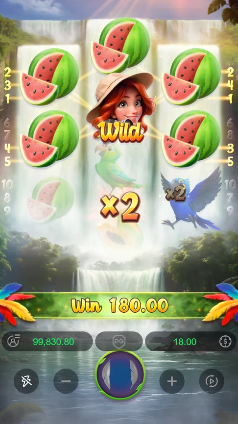 Wings of Iguazu five watermelon lines x2